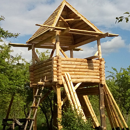 Прыжок в прошлое